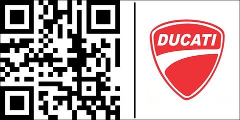 Ducati / ドゥカティ ペア Of カーボン Wings | 96981311AA