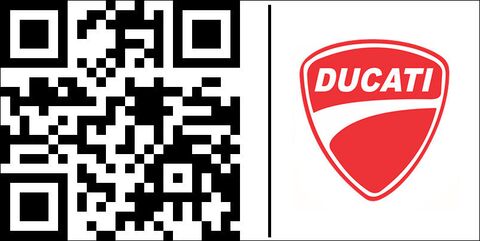 Ducati / ドゥカティ プラスティックウィングス　ペア | 97180841AA