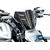 ILMBERGER / イルムバーガーカーボン ウィンドシールド Ducati ディアベル V4 2023- マット | VEO.123.DI23M.K