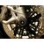 EVOTECH / エボテックパフォーマンス Spindle Bobbin | PRN013323-013366