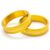 BARRACUDA / バラクーダ BAREND RING INSERT - GOLD (pair) | N2000-RO