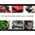 Powerbronze / パワーブロンズ ヘッドライト  プロテクター KAWASAKI ZZR1400 06-11 LOCKS) | 440-K448-001