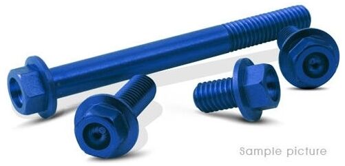 Valtermoto / バルターモト フランジヘッドボルト Ø12 M6 L25 ブルー | VMC036 25 S 02