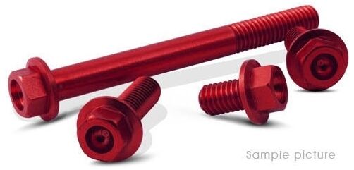 Valtermoto / バルターモト フランジヘッドボルト Ø12 M6 L15 レッド | VMC036 15 S 04