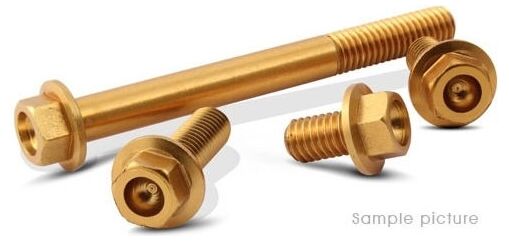 Valtermoto / バルターモト フランジヘッドボルト Ø16 M8 L35 ゴールド | VMC053 35 S 03