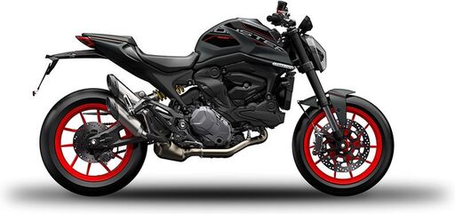 Ducati / ドゥカティ純正アクセサリー モンスターロゴ グレー デカール | 97480281AC