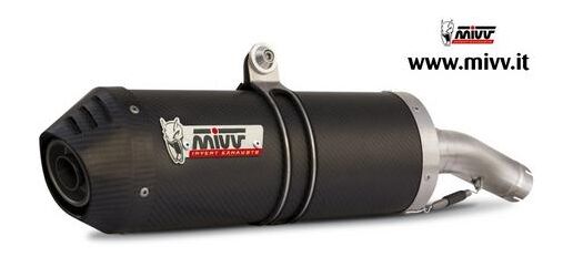 MIVV / ミヴ -SPORT OVAL- スリップオン カーボン製（カーボンエンドキャップ付） for SUZUKI GLADIUS (09-) | S.035.L3C