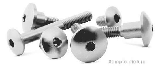 Valtermoto / バルターモト 六角穴付ボルト Ø14 R6 M6 L10 シルバー | VMC040 10 S 01