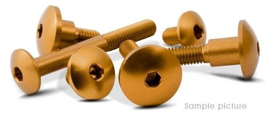 Valtermoto / バルターモト 六角穴付ボルト Ø10 M6 L25 ゴールド | VMC048 25 S 03