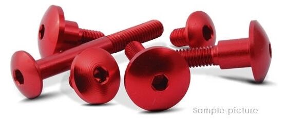 Valtermoto / バルターモト 六角穴付ボルト Ø10 M6 L25 レッド | VMC048 25 S 04