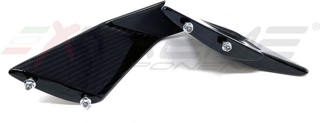 Extreme エクストリームコンポーネンツ Twill Carbon fiber ウイングレット BMW M1000RR (2020/2021) (set) | CB1990