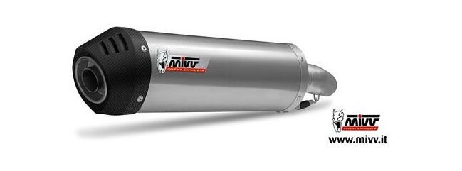 MIVV / ミヴ -SPORT OVAL- スリップオン チタン製（カーボンエンドキャップ付） for HONDA HORNET 600 (03-06) | H.020.LNC