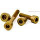 Valtermoto / バルターモト シリンダヘッドボルト Ø8.5 M5 L25 ゴールド | VMC051 25 S 03