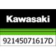 Kawasaki / カワサキ スプリングショック, K=54N/MM, ブラック | 92145071617D