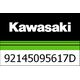 Kawasaki / カワサキ スプリングショック, K=45N/MM, ブラック | 92145095617D