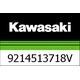 Kawasaki / カワサキ スプリング,ショックアブソーバー, K = 43.1 N / MM | 9214513718V