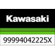 Kawasaki / カワサキ セット サイド パニア カバー | 99994042225X