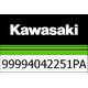 Kawasaki / カワサキ セット サイド パニア カバー | 99994042251PA