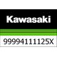 Kawasaki / カワサキ キット, シングル シート カバー, メタリック ムーンダスト グレイ | 99994111125X