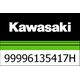 Kawasaki / カワサキ キット, シングル シート カバー, パール ワイルドファイア オレンジ | 99996135417H