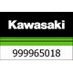 Kawasaki / カワサキ ドライブチェーン キット Z900RS | 999965018