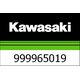 Kawasaki / カワサキ ドライブチェーン キット Z900 | 999965019