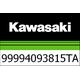 Kawasaki / カワサキ カバー TC 30L 15T キャンディバーン オレンジ | 99994093815TA