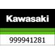 Kawasaki / カワサキ スライダー | 999941281