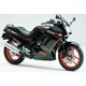 Powerbronze / パワーブロンズ スタンダード スクリーン KAWASAKI GPX250 88-96 フルオ グリーン | 410-K101-010