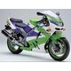 Powerbronze / パワーブロンズ スタンダード スクリーン KAWASAKI ZX9-R B1-B4 94-97 アンバー | 410-K132-007