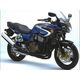 Powerbronze / パワーブロンズ スタンダード スクリーン KAWASAKI ZRX1200S 01-05 ダーク グリーン | 410-K147-012