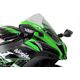 Powerbronze / パワーブロンズ スタンダードスクリーン ライムグリーン KAWASAKI ZX10-R, 16-19 | 410-K172-011