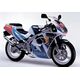 Powerbronze / パワーブロンズ スタンダード スクリーン SUZUKI RG125 FUN P-R ライト ティント | 410-S102-001
