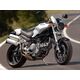 Powerbronze / パワーブロンズ ヘッドライトプロテクター フロストステルスグレー DUCATI ALL FAIRED MONSTER | 440-D047-019