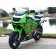 Powerbronze / パワーブロンズ ヘッドライト  プロテクター KAWASAKI ZX6-R F1-F3 95-97 ダーク グリーン | 440-K065-012