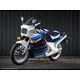 Powerbronze / パワーブロンズ ヘッドライト  プロテクター SUZUKI RG125 FUN P-R ライト ティント | 440-S071-001