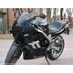 Powerbronze / パワーブロンズ ヘッドライト  プロテクター TRIUMPH TT600 00-03 クリアー | 440-T195-000