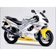 Powerbronze / パワーブロンズ ヘッドライト  プロテクター YAMAHA YZF600R T イエロー | 440-Y102-006