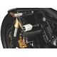 Powerbronze / パワーブロンズ バジェットクラッシュポストセット (クラッシュバー), ブラック TRIUMPH ストリートトリプル,ストリートトリプル R, 07-12 | 513-T107-003