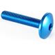 Lightech / ライテック BUTTON HEAD ERGAL CL 002 M8 L. 15 | 002M8015