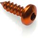 Lightech / ライテック SELF TAPPING SCREW 002 D=4,5X13 ERGAL | PAC24513