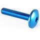 Lightech / ライテック BUTTON HEAD ERGAL CL 002 M8 L. 20 | 002M8020