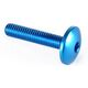Lightech / ライテック BUTTON HEAD ERGAL CL 003 M6 L. 40 | 003M6040