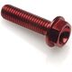 Lightech / ライテック HEXAGONAL HEAD ERGAL CL 004 M8 L. 55 | 004M8055