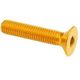 Lightech / ライテック FLAT HEAD ERGAL CL 005 M6 L. 65 | 005M6065