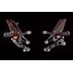 Lightech / ライテック PEDANE "R" VERSION, STANDARD GEARBOX - DUCATI PANIGALE 1299 (15) | FTRDU010R