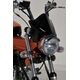 Ermax / アルマックス SV double bubble (+ kit fix ) for DAX newteam REPLICA oir dark | 061656001