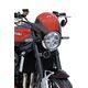 Ermax / アルマックス Nose Fairing Ermax / アルマックス For Z 900 Rs 2018-2022 | 1503S68-V4