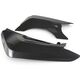 FULLSIX SWINGARM COVER - SET Color - CLEAR COAT | MD-9516-C16
