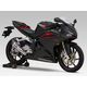 Yoshimura / ヨシムラ Slip-On R-11 サイクロン 1エンド EXPORT SPEC 政府認証 | 110-42C-5E81B